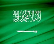 uninas.jpg from saudi arabia paltalk