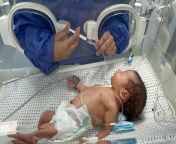 newborn baby jpgsfvrsne9766fed 13 from fakr hospital