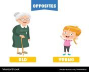 old and young vector 30458902.jpg from old young and