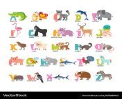 cute cartoon animals alphabet from a to z vector 10588600.jpg from atoz cartoon