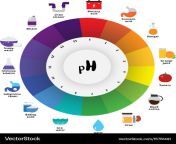 ph scale universal indicator color chart vector 15761491.jpg from ph page