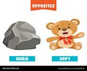 hard and soft vector 30459072.jpg from hard an