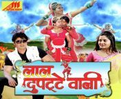 lal dupatte wali bhojpuri 2018 20201106073403 500x500.jpg from bhojpuri lal dupptaweli movie hot songs