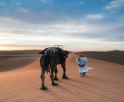 camel person sand desert.jpg from sahara xxxx wallad man