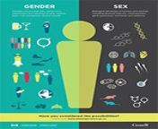 igh s17 infographic gender sex en.jpg from sex vs an