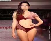 18ba1 tamanna bhatia bikini 1 jpgw616 from tamanna bhatia sexy nude bra panty xray kajal raghwani sexxx photos