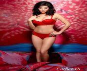jism 2 movie still sunny leone in sexy lingerie 011.jpg from sunny leone red