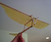 fglr6jqft7plbv9 jpgautowebp from how to make a ornithopter robotick flying motor batari