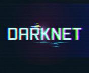 darknet.jpg from darknet