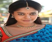 actress bindu madhavi pics jpgw680 from tamil acctree bindu madhavi in blue film