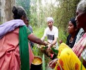 video unseen tribal food in india cooking eating with isolated mountain tribe in pandikuzhi india davidsbeenhere 14 980x551 jpeg from karala indian videosoe