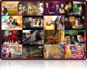 collage1.jpg from pakistani tv1ne biwi ki dirty panty movie mari
