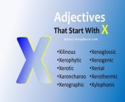 adjectives that start with x 1024x683.jpg from adgj x