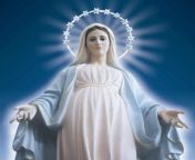 8 facts you need to know about virgin mary jpeg from vigin