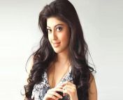 pranitha subhash.jpg from tamil actress pranitha