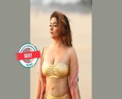 sexy.jpg from tamil actress kiran sex video star jalsa serial