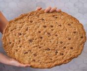 giant chocolate chip cookie 2.jpg from big cookie