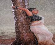 d8190 11.jpg from tamil saree rain sex aunty