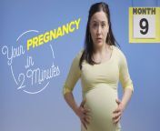 glamour this is your pregnancy in 2 minutes.jpg from lmw pregnant vdesoxx