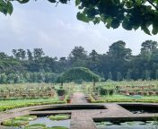 national botanical garden jpgw500h500s1 from dhaka golden water park xxx video adventure porn