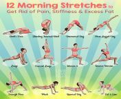 12 morning stretches to help you get rid of pain stiffness and excess fat.png from som stretch