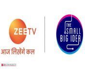 zee tv awards social media mandate to thesmallbigidea.jpg from gee tv