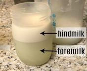 foremilk vs hindmilk copy.jpg from matured milk