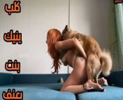 كلب ينيك بنت بكل الاوضاع الساخنه تحب السكس مع الحيوانات 585x360.jpg from افلام السكس مع الحيوانات