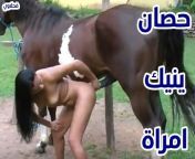 حصان زبه ضخم ينيك امراة ويدمر كسها جنس حيوانات.jpg from حصان ينيك امراه في كسها