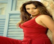 kashmira shah.jpg from 1047 top 50 indian actresses with stunning