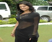 tollywood actress satya krishnan in saree photo stills actressinsareephotos blogspot com 4.jpg from heroines back sarees nude xray