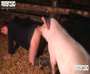 preview mp4.jpg from and pigs sex