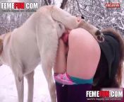 preview mp4.jpg from www white dogs sex video
