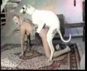 preview mp4.jpg from dogs fucked woman