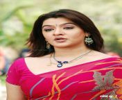 aarthi agarwal pink saree cleavage 08.jpg from all actress saree boobs