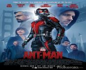 ant man movie poster 43694.jpg from amt man hindi