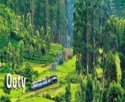 ooty banner new 2 1024x342.jpg from ooty 10 c