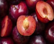 red plum background 1320x880.jpg from plum in